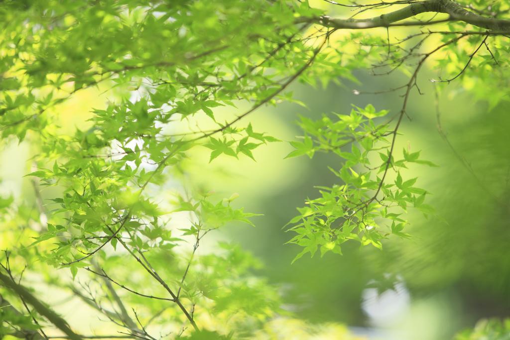 Oushuku Onsen Choeikan Shizukuishi Eksteriør billede